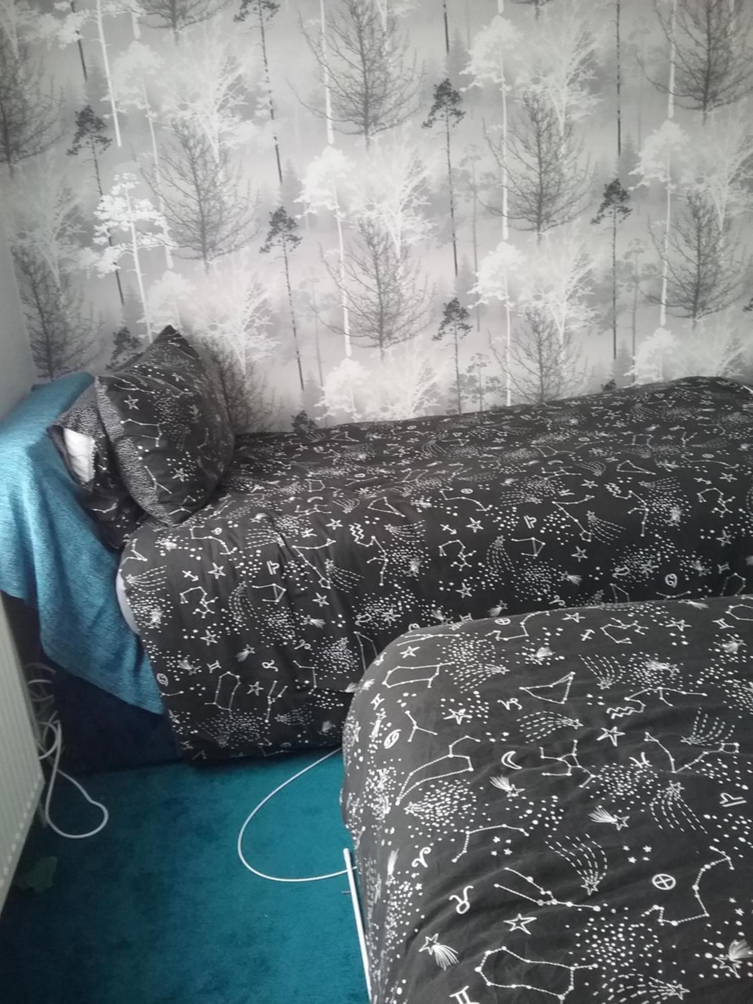 Medium Sized In My Homestay Great Clacton
