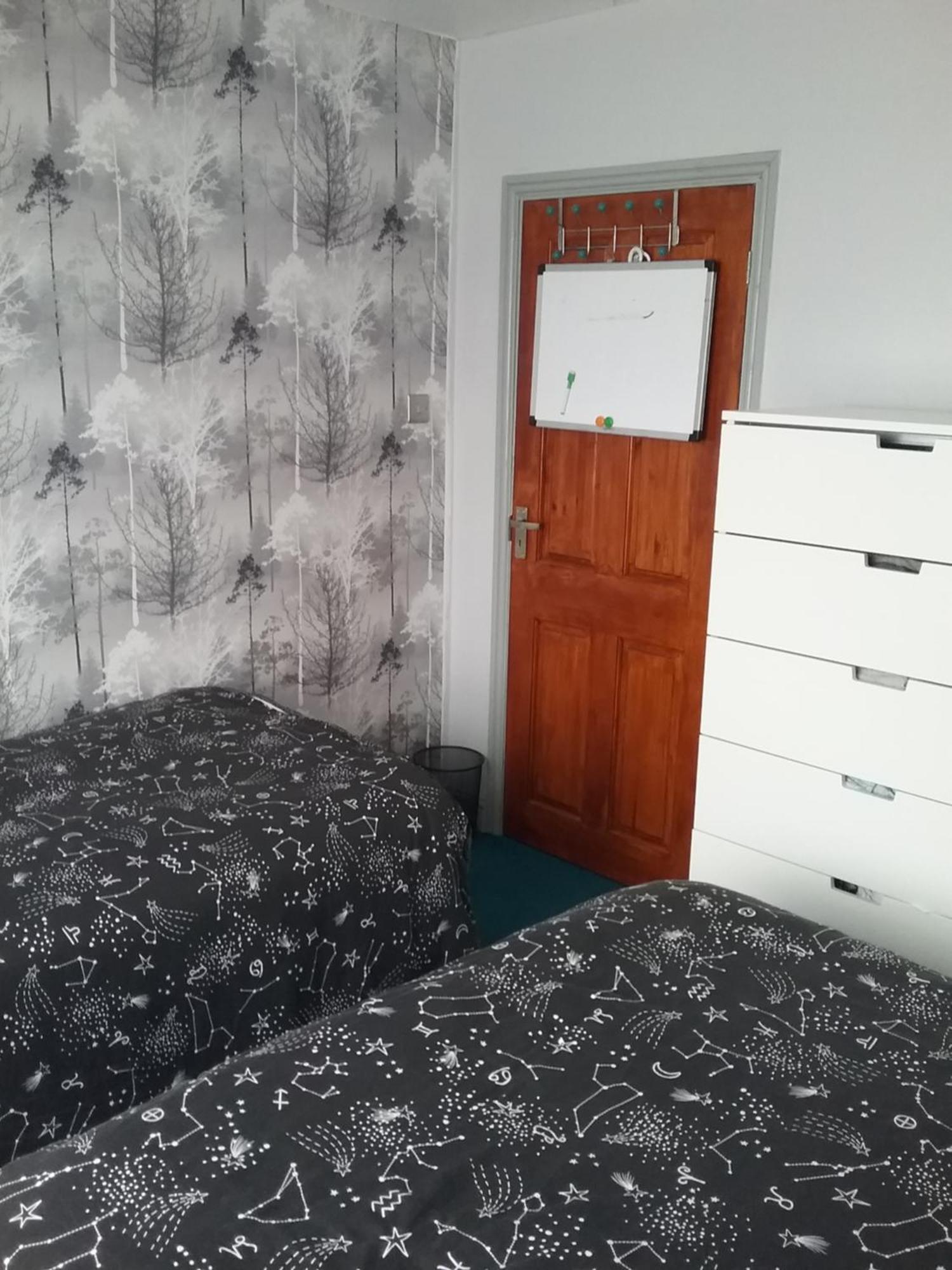Medium Sized In My Homestay Great Clacton